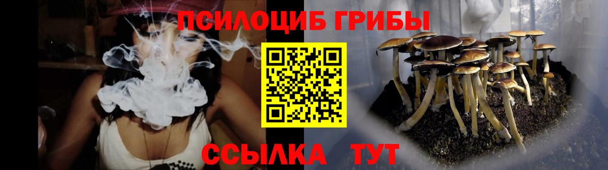 Галлюциногенные грибы прущие грибы  Псилоцибиновые грибы Cubensis  Вход с VPN  где купить наркоту  Кострома 
